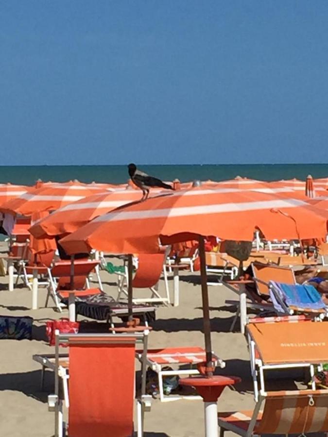 Verde Mare "Appartamenti Per Vacanze" Торторето Экстерьер фото